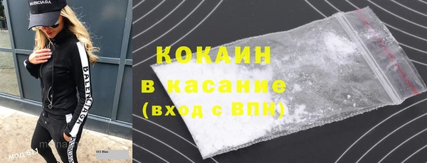 шишки Арсеньев