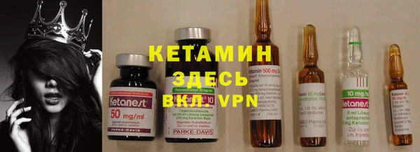 шишки Арсеньев