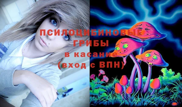 шишки Арсеньев