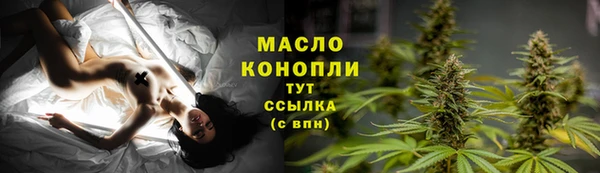 шишки Арсеньев