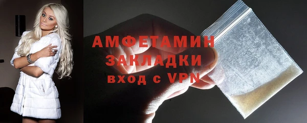 шишки Арсеньев