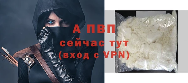 шишки Арсеньев