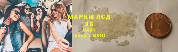 шишки Арсеньев