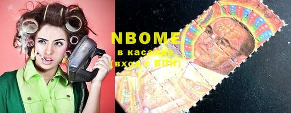 шишки Арсеньев
